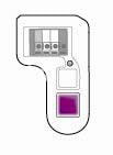Liftmaster opener purple learn button