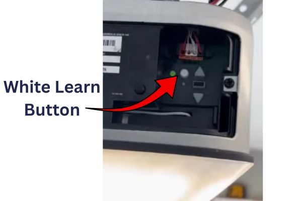 White Learn button